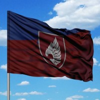 Прапор 237 окремий батальйон безпілотних систем Новий шеврон два кольори